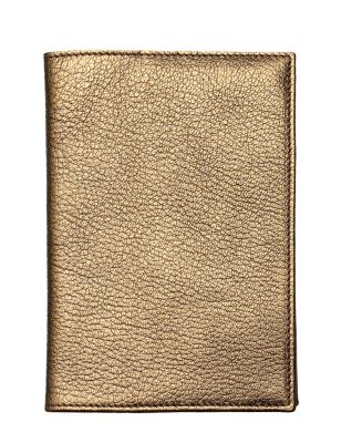 Paris Passport Case