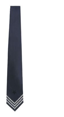 Silk Woven Tie in Navy And Ivory